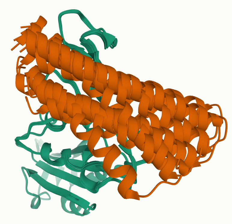 Top 5 docking results